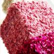 Pink carnation petal boxes